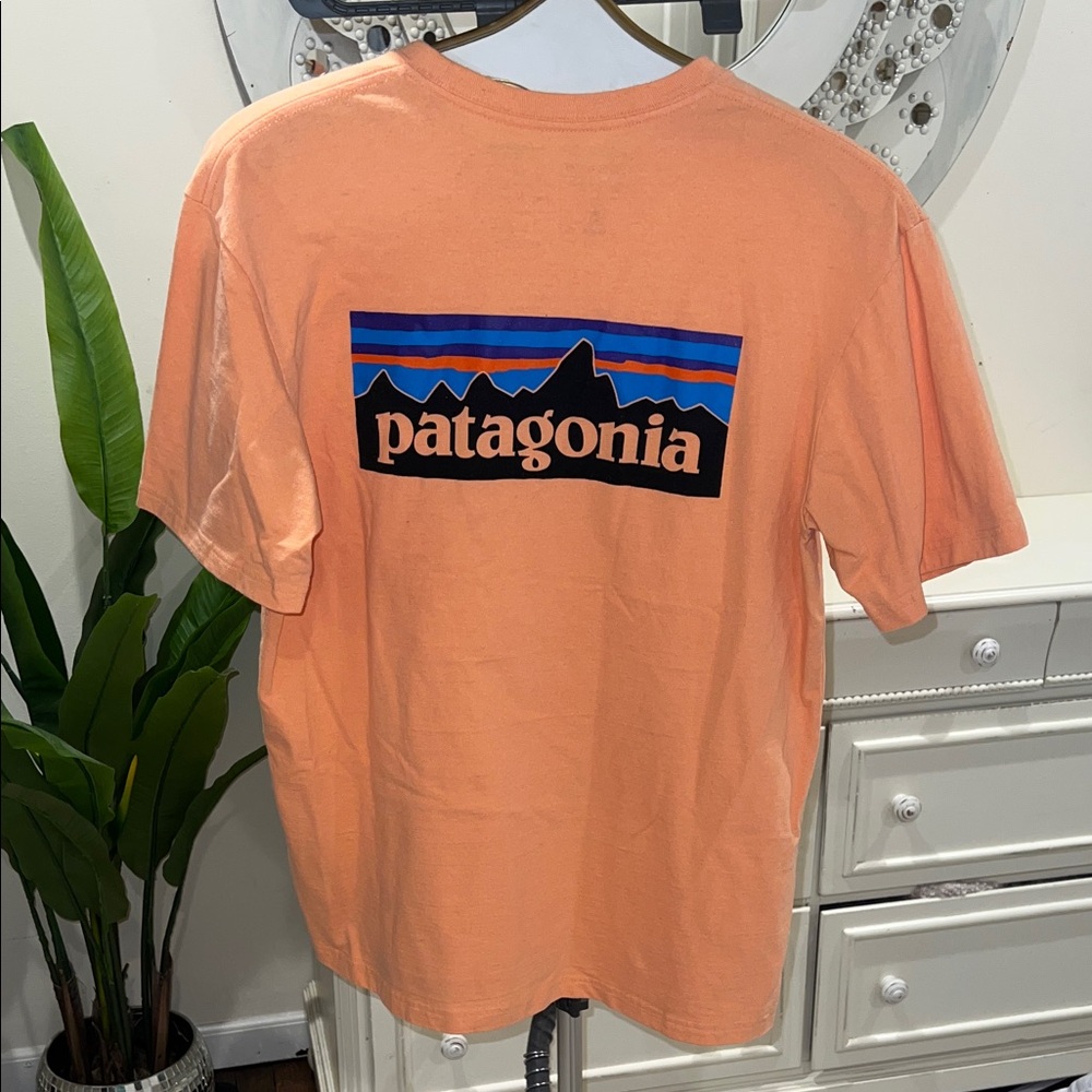 Patagonia Tee 🍑Short-Sleeve Logo Tee